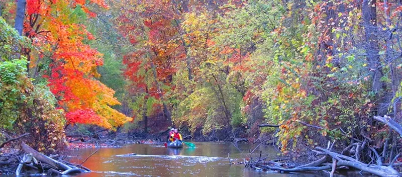 Thanks to Friends of the Rouge, you can have all the fall color you can handle without heading north of Wayne. - Photo from Friends of the Rouge river tour webpage