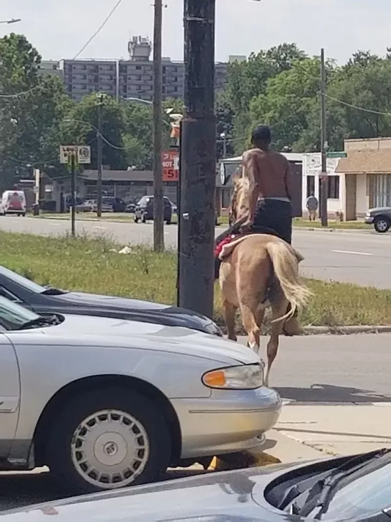 The mysterious horseman of Northwest Detroit spotted again