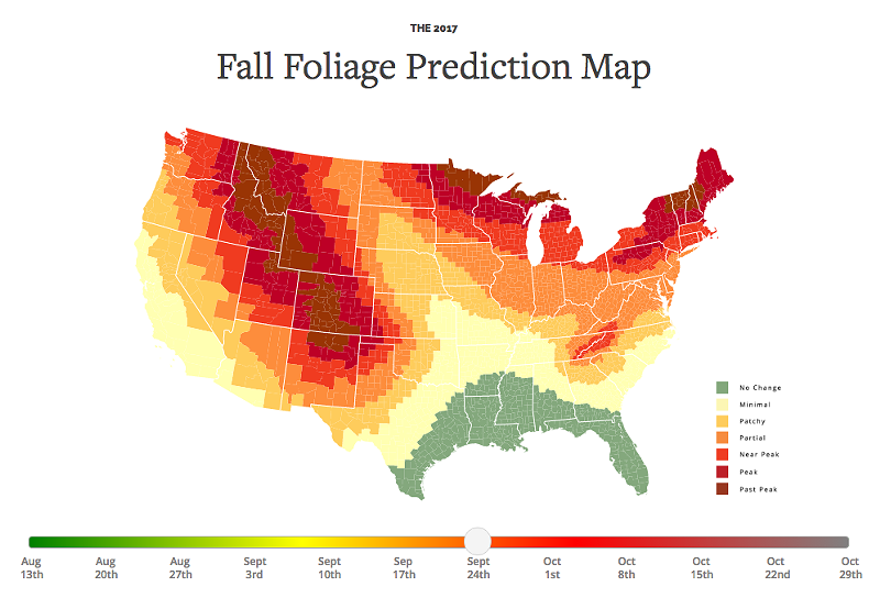 What fall leaves will look like by Sept. 24