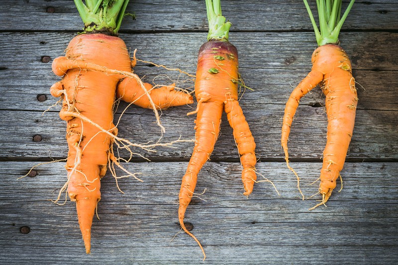 Misfit carrots. - Shutterstock