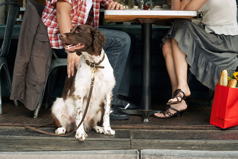 Royal Oak's Bastone Brewery's patio is now dog-friendly featuring new doggy menu
