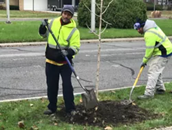 Crews plant a tree in northwest Detroit as part of the "10,000 Up" program. - Courtesy photo