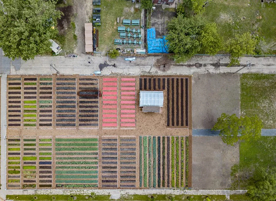 On urban farming and 'colonialism' in Detroit's North End neighborhood