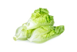 Romaine lettuce linked to E. Coli outbreak in Michigan