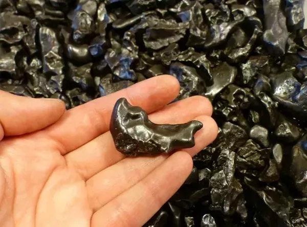 Individual pieces of the Sikhote-Alin iron meteorite (Sikhote-Alin Mts, Primorskiy Kray, Far-Eastern Region, Russia). - Shutterstock