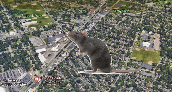 Grosse Pointe will fight rat problem around its DPW site... by moving it to Detroit