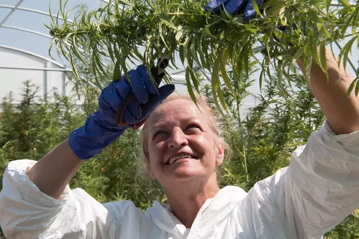 How a Michiganmade marijuana testing company went national Detroit