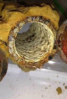Photo of Flint drinking water pipes showing different kinds of iron corrosion and rust.