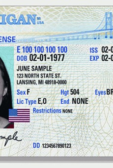 Lawmakers have introduced bills to grant access to ID cards and driver's licenses to undocumented immigrants multiple times in recent years, but the proposals have not been granted a hearing or vote.