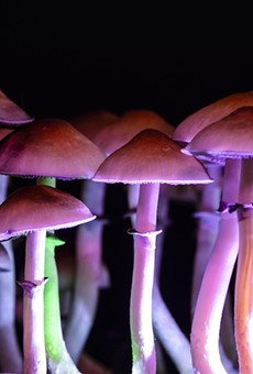 Ann Arbor declares September Psychedelics Awareness Month —&nbsp;and we're tripping