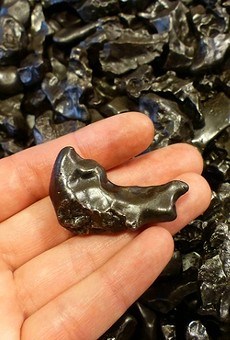 Individual pieces of the Sikhote-Alin iron meteorite (Sikhote-Alin Mts, Primorskiy Kray, Far-Eastern Region, Russia).