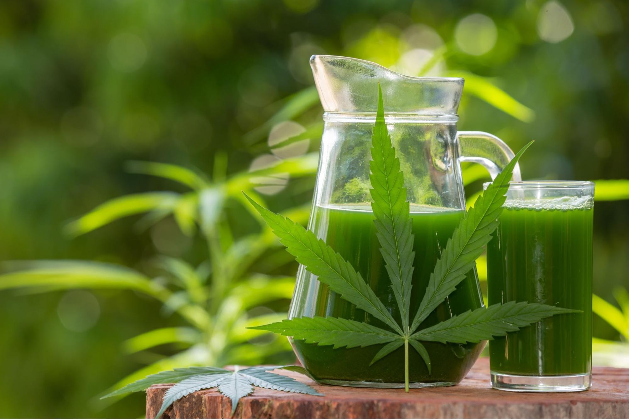 How To Detox THC From Your System Fast | Paid Content | Detroit | Detroit  Metro Times