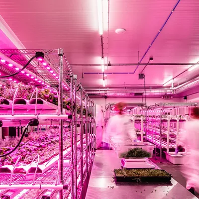 Workers at Planted Detroit&rsquo;s indoor growing facility.