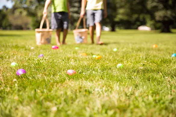 Bunnyville at the Detroit Zoo
April 7-8, 9 a.m. to 3 p.m.
The Detroit Zoo; 8450 W. Ten Mile Rd., Royal Oak; 248-541-5717; detroitzoo.org
A golden egg hunt, live entertainment, and photo opportunities with the Easter Bunny? Your kids are gonna love you even more. The event is free with zoo admission. Learn more here.