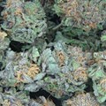 Michigan employers can discriminate against medical marijuana users, court says