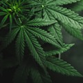 Bill would expunge marijuana records for 235,000 Michiganders