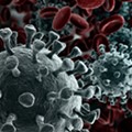 Michigan announces 12 new coronavirus cases, bringing total to 65