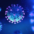 Michigan now ranks third in coronavirus deaths in U.S. as fatalities double every 2 days