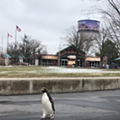 Detroit Zoo reportedly losing $2.5 million per month since closing due to coronavirus