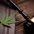 Why Michigan's cannabis 'clean slate' law doesn't go far enough