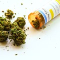 Legal marijuana’s long slog in Michigan