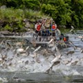 Snyder wants Great Lakes states to fight Asian carp since Trump is useless