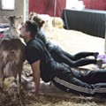 Goat yoga returns to Detroit