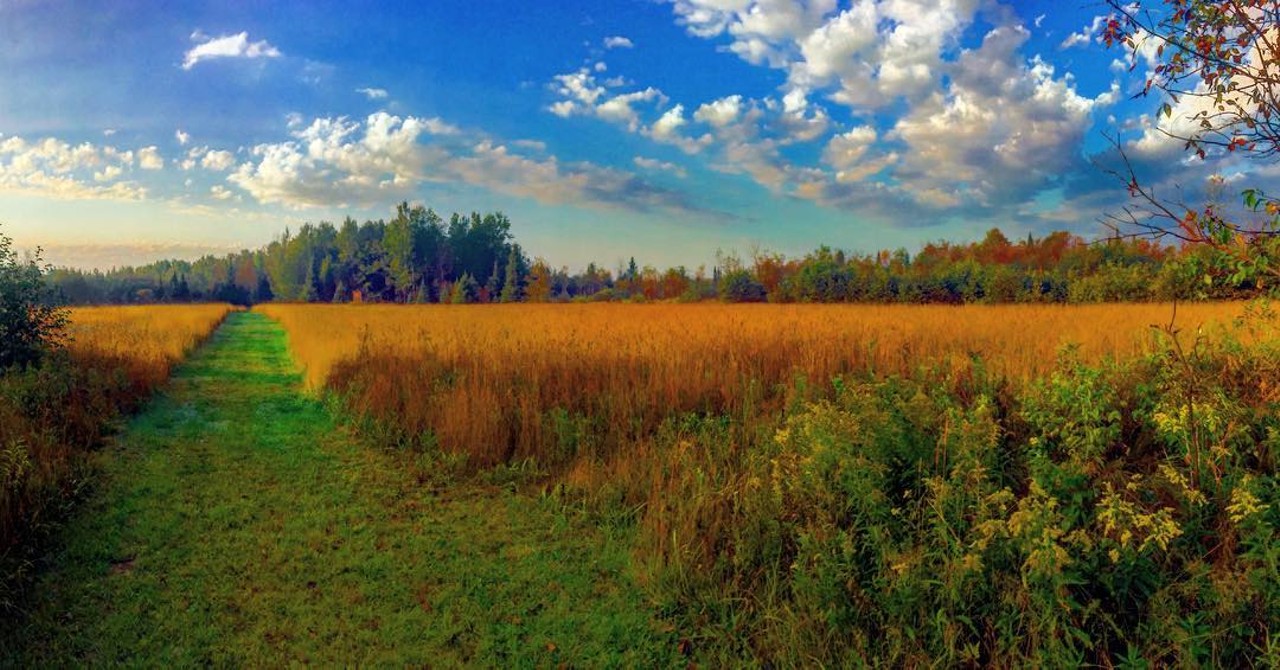 Escana
Home to the shoreline with the most freshwater in Michigan&#146;s Upper Peninsula, Escanaba is another great location to relax and witness the arrival of fall. You can go to Hiwatha National Forest for a view or catch a glimpse from Escanaba&#146;s countryside. Photo via Instagram user, blackwater_outdoors