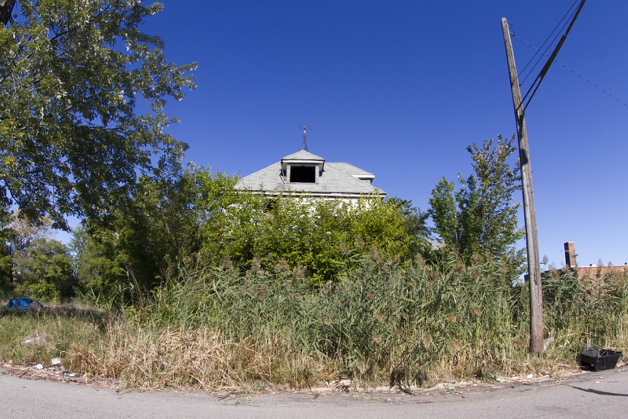 20 photos showing how nature is reclaiming Detroit