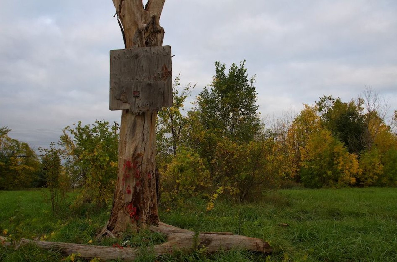 20 photos showing how nature is reclaiming Detroit