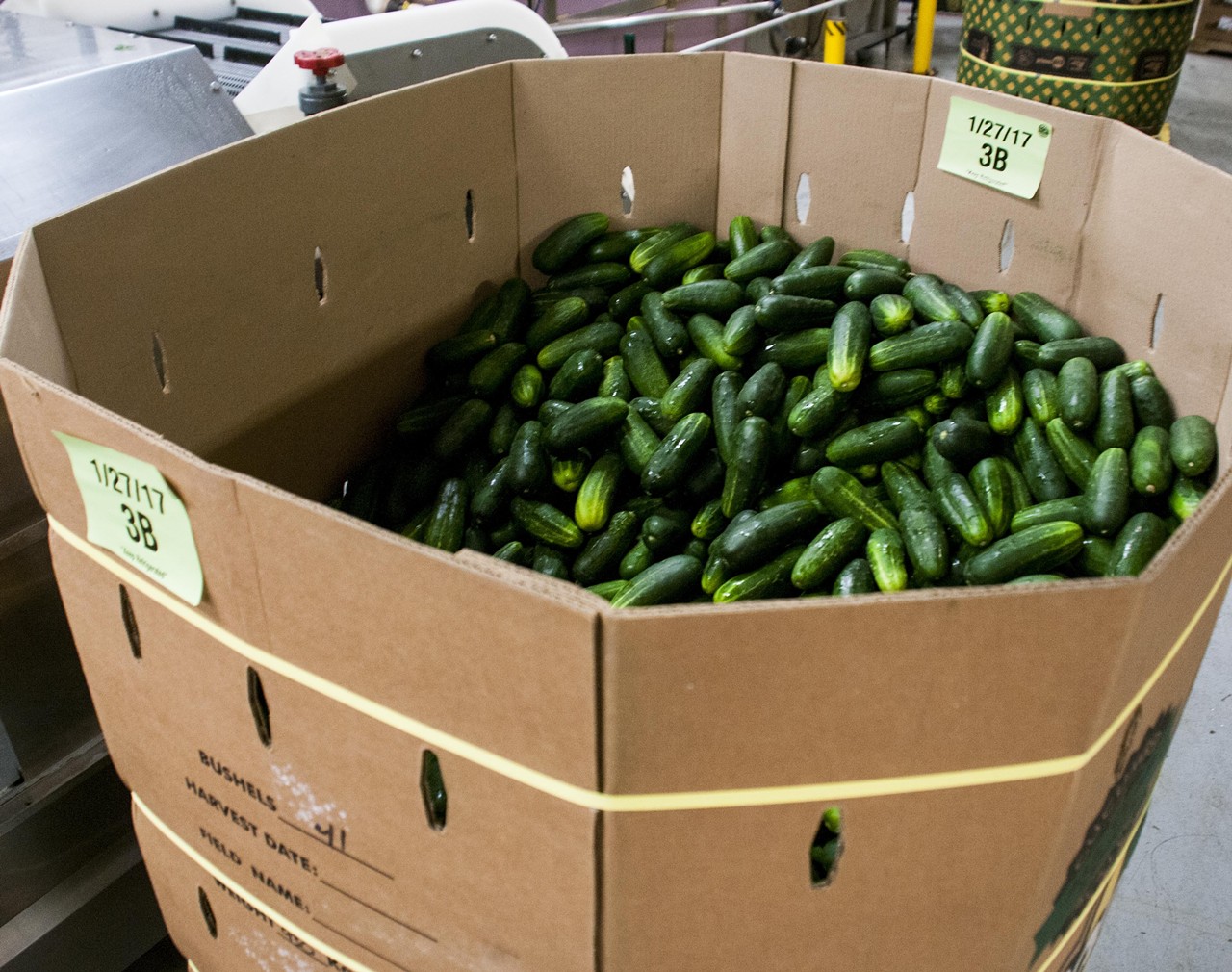 McClure's orders cucumbers by the truckload direct from farmers who grow crops specifically for the company. Each week, Joe McClure buys 12 boxes, or "totes," that each hold 2,000 pounds of cucumbers. Yes, that's a whole lot of cucumbers.