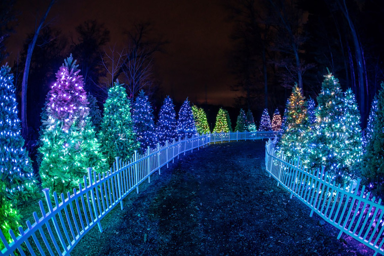 Glenlore Trails: Aurora in Commerce Township is a trippy winter ...