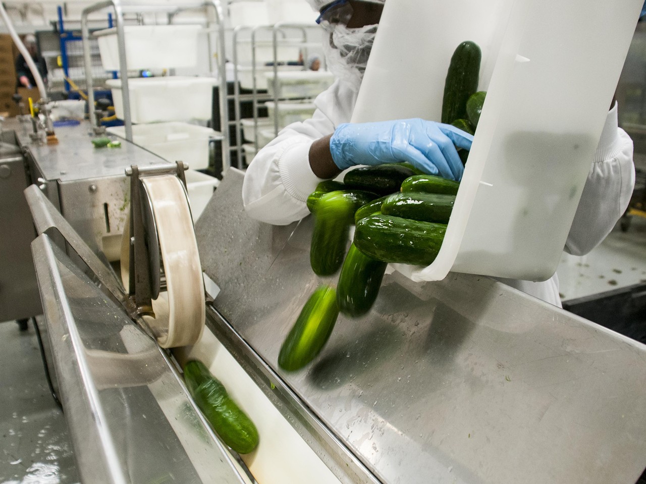 He then drops them in the slicing machine, a roughly 20-foot piece of equipment that sucks cucumbers out of the troth with spinning belts. The produce shoots through a slicer, a long tube, and ....
