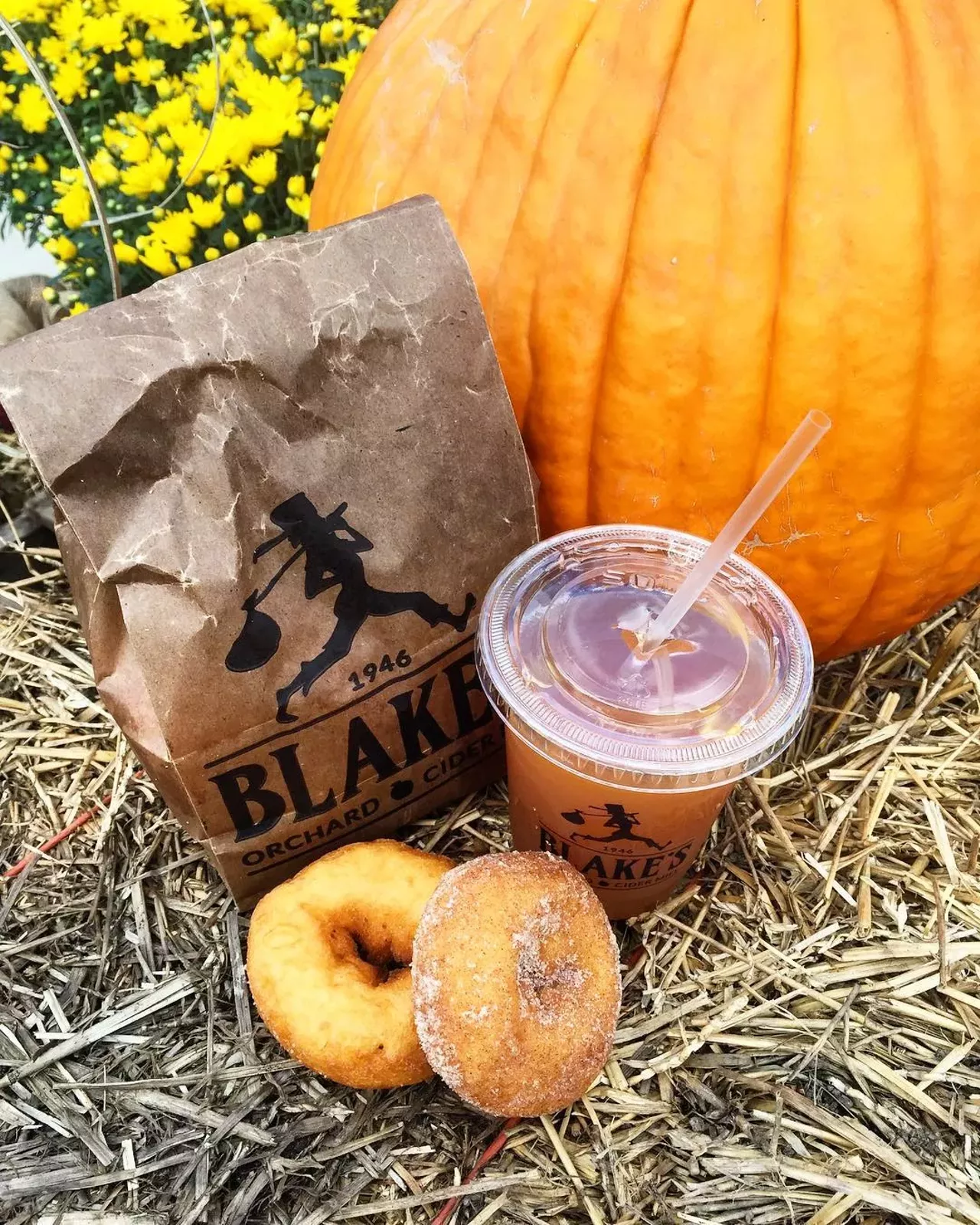 25 Michigan cider mills to see and taste this fall Detroit Detroit