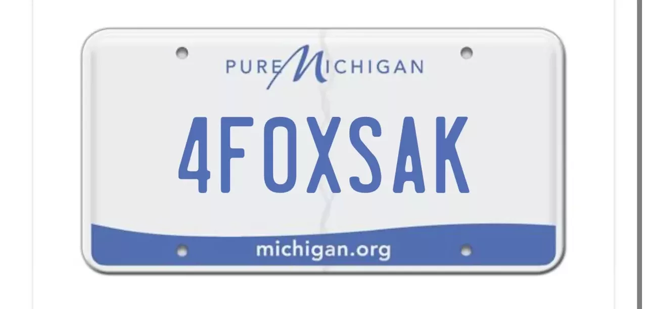 Rejected Michigan license plates from 2022 and earlier [NSFW] Detroit