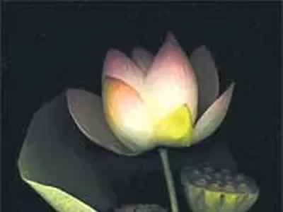 Image: Uplift the senses