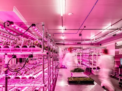 Workers at Planted Detroit’s indoor growing facility.