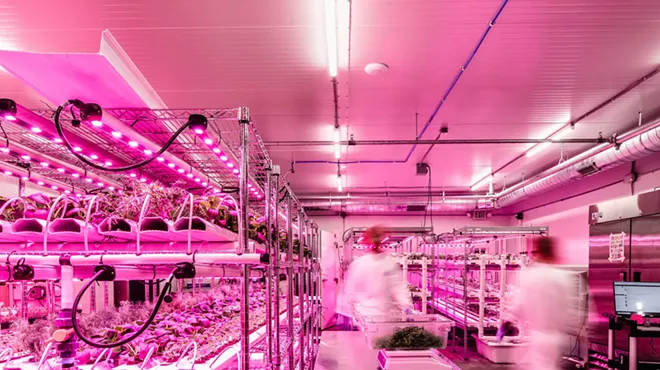 Workers at Planted Detroit’s indoor growing facility.