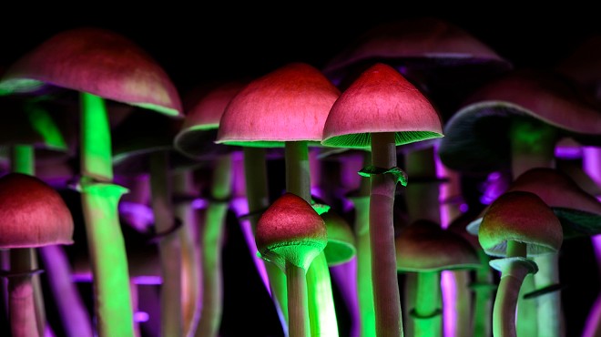 Washtenaw County says cases involving natural psychedelics will no longer be charged