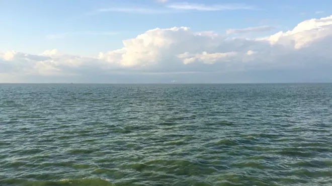 Summer algae bloom on Lake Erie.