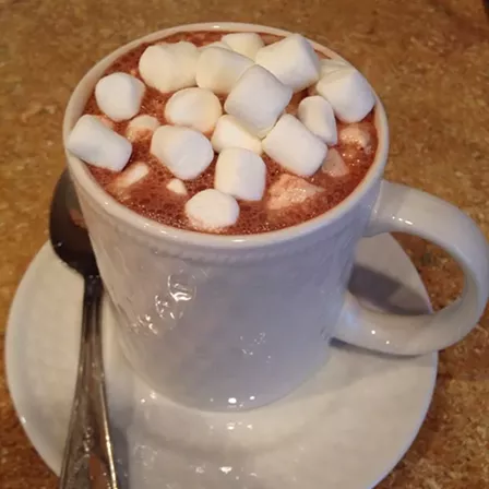 Where is the best place for hot chocolate in metro Detroit?