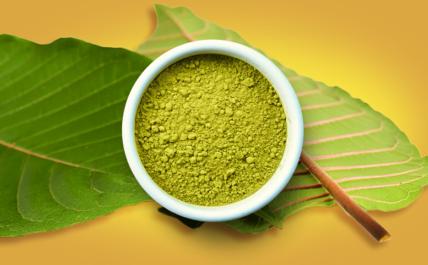 Where to Buy Kratom: Best Kratom Vendors &amp; Brands To Try