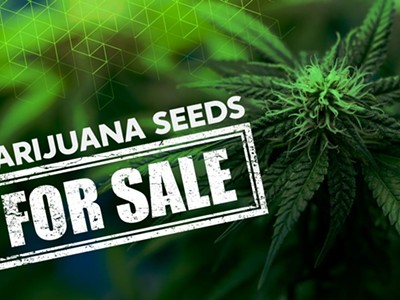 Where to Buy Marijuana Seeds: Reputable Cannabis Seed Banks (8)