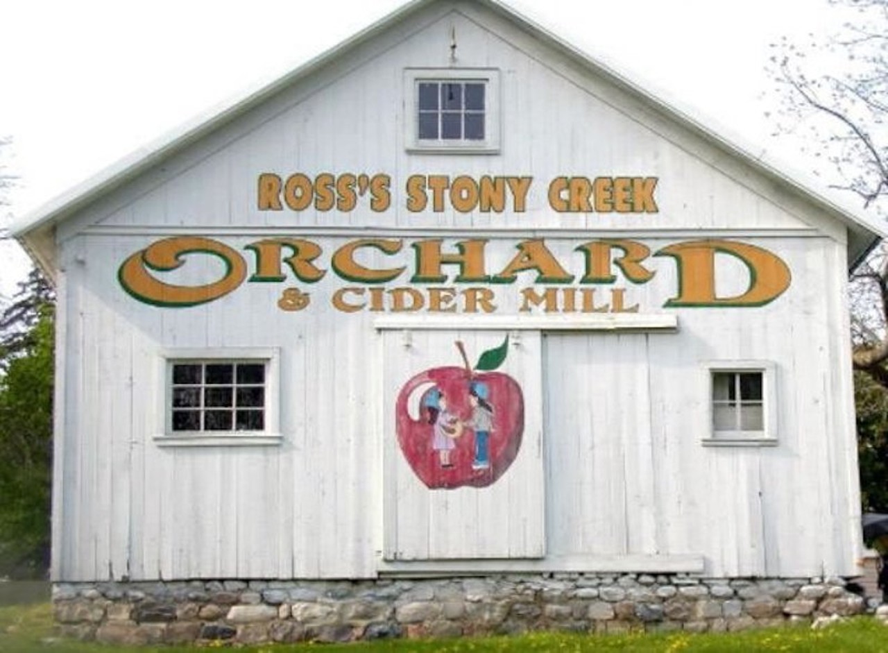 Stony Creek Orchard & Cider Mill
2961 W. 32 Mile Rd., Romeo; 586-752-2453; stonycreekorchard.com
You want apples? They've got apples! You want caramel apples? Oh, baby, they got those, too. You want to pick the perfect pumpkin? You can do that at Stony Creek Orchard & Cider Mill.  Stony Creek opens for the season on September 16.