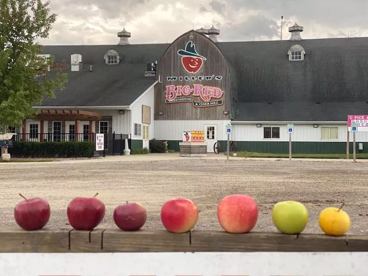 Big Red Apple Orchard 4900 W. 32 Mile Rd., Washington Twp.; 586-752-7888; facebook.com/bigredorchard It's still Big Red! Was that a Bring it On! reference? Sure, but it's the attitude to have as Big Red Apple Orchard brings wagon rides, cornhole, a petting zoo and, of course, apple and pumpkin picking to Michigan's fall.