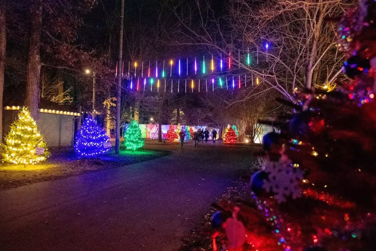 Wonderland of Lights This 31st annual event decks out Potter Park Zoo with thousands of lights with holiday music and photo ops with Santa on Fridays and Saturdays. Through Dec. 23 at Potter Park Zoo; 1301 S. Pennsylvania Ave., Lansing;potterparkzoo.org. Tickets are $5-$9.