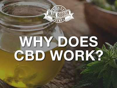 Image: Why Does CBD Work?