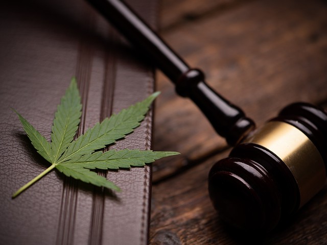 Why Michigan's cannabis 'clean slate' law doesn't go far enough