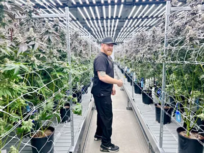 Director of operations Tyler Smith helps to cultivate Wojo's cannabis free of chemicals and additives.