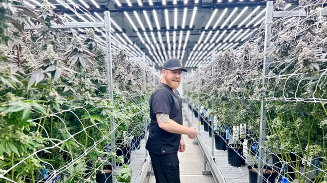 Director of operations Tyler Smith helps to cultivate Wojo's cannabis free of chemicals and additives.